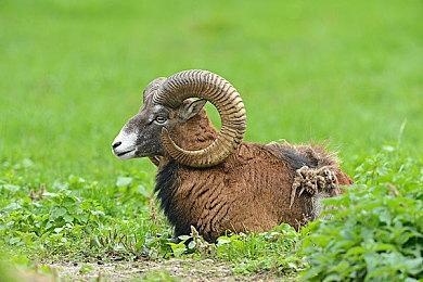 《永劫无间》将开启steam测试  网易UU加速器带你体验丝滑连招